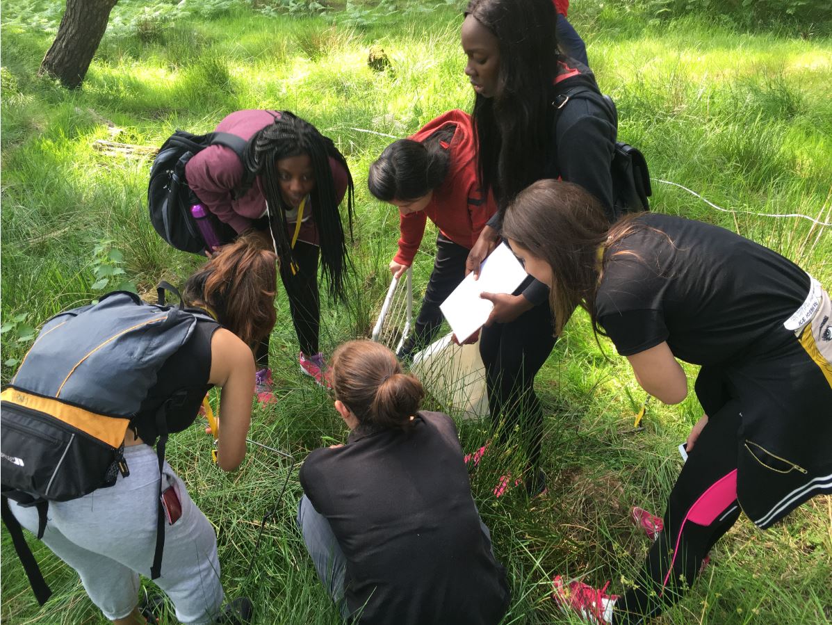 Biology Field Trips Near Me at Herbert Preston blog